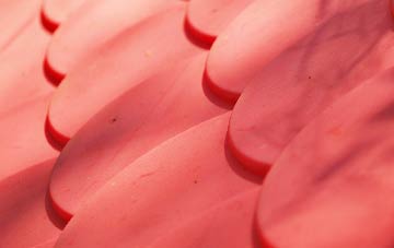 Molesden plastic roof costs