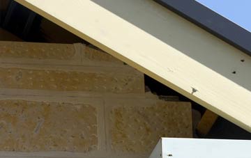 soffit repair Molesden